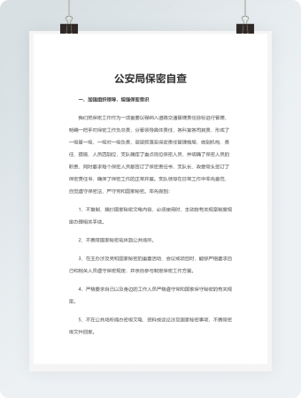 公安局保密自查Word文档