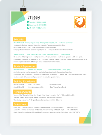 大学生彩色英文简历