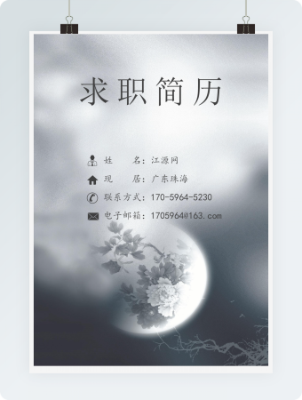 数据产品经理个人简历模板