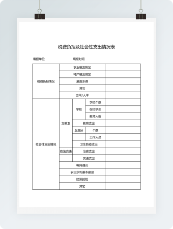税费负担及社会性支出情况表模板