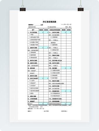 外汇收支情况表
