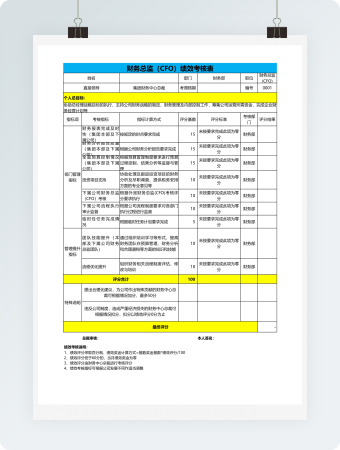 财务总监（CFO）绩效考核表