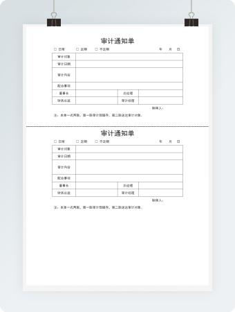 简约的审计通知单