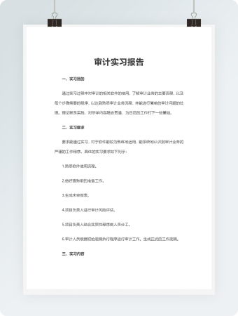 审计实习报告Word模板2