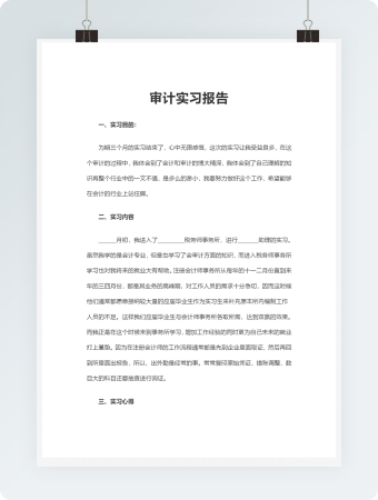 审计实习报告Word模板3