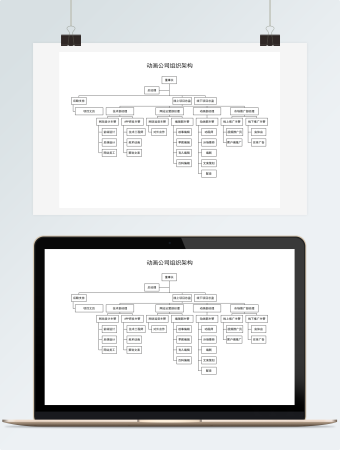 动画公司组织架构