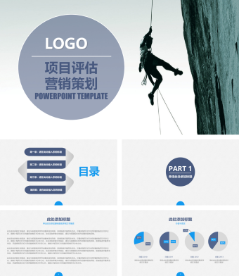 白色简约风项目评估营销策划ppt