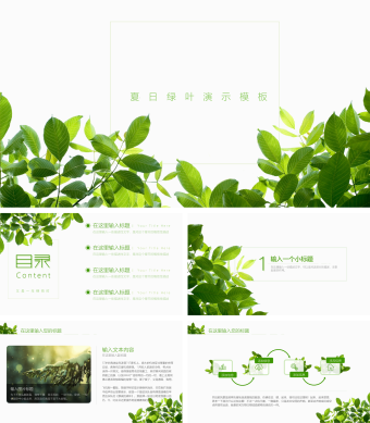 绿色清新风夏日绿叶ppt模板