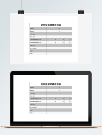 财务报表公共信息表