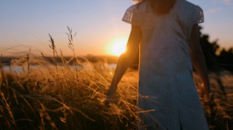 小女孩 背影 草丛 夕阳
