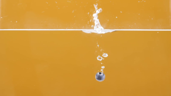 实拍升格水果蓝莓入水