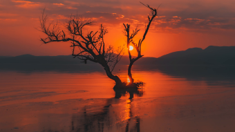 写意素材夕阳火烧云唯美画面延迟