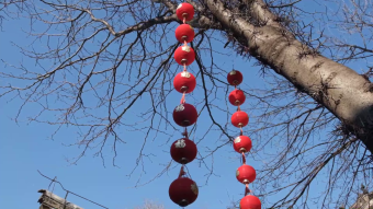 红灯笼喜庆古树古建筑旅游