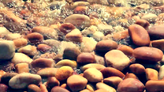 鹅卵石扇贝海带海岛风光实拍视频