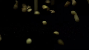 扁豆高清实拍视频