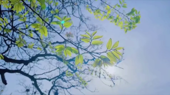 自然好风光实拍天空视频素材