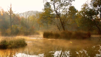 皖南宣城湿地朝霞晨雾视频