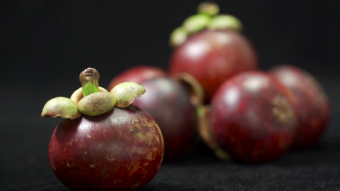 山竹新鲜水果高清实拍视频