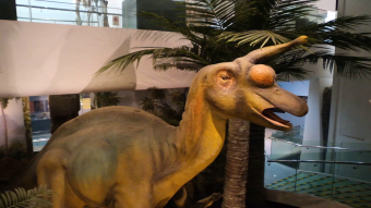 恐龙化石雕像古生物骨骼科普教育