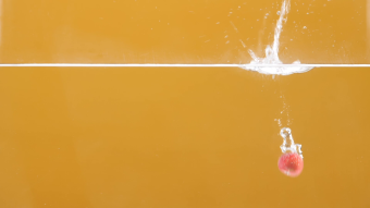 高清实拍升格水果山楂掉入水中