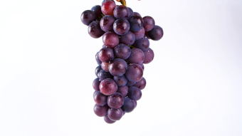 升格葡萄紫色葡萄多汁新鲜水果