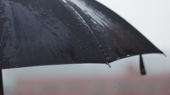 唯美VLOG小雨打伞树叶马路