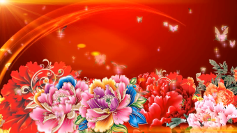 牡丹花开蝴蝶飞舞背景视频