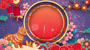 新年喜庆虎年庆祝节日烟花背景视频