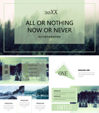 欧美风简约宣传画册通用PPT模板