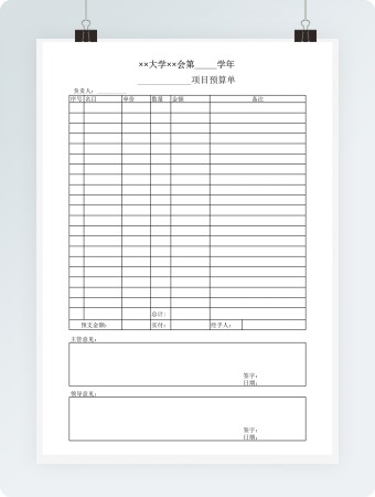 大学项目预算单