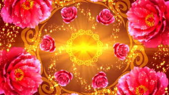 旋转喜庆牡丹花背景视频