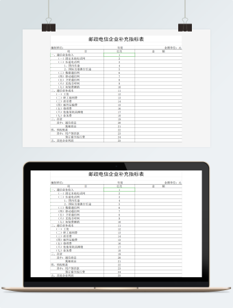 邮政电信企业补充指标情况表
