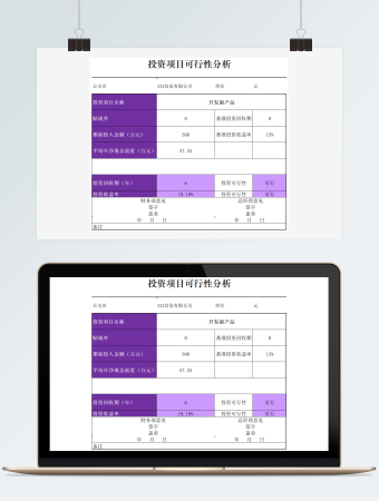 完整投资项目可行性分析