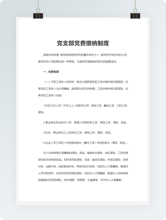 党支部党费缴纳制度Word文档