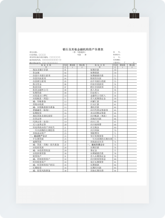 银行及其他金融机构资产负债情况记录表