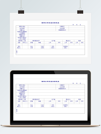 被审计单位基本情况表