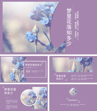 杂志风高雅紫相册图片展示PPT模板