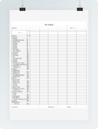 详细资产负债统计表