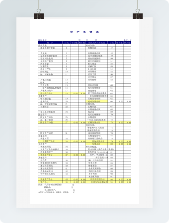 详细资产负债统计表格