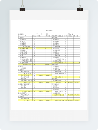 资产负债表统计