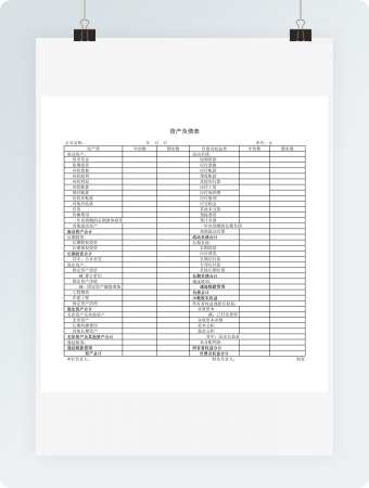 资产负债表详细统计表