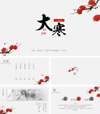 中国风传统节气大寒PPT模板 (2)