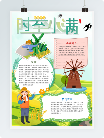 绿色传统节气小满手抄报小报