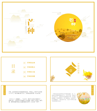 黄色简约风芒种PPT