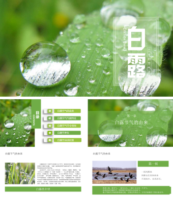 绿色小清新白露节气PPT模板