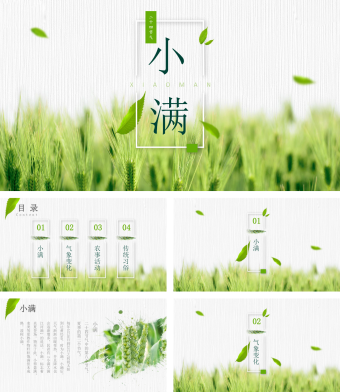 绿色简约清新小满二十四节气ppt模板