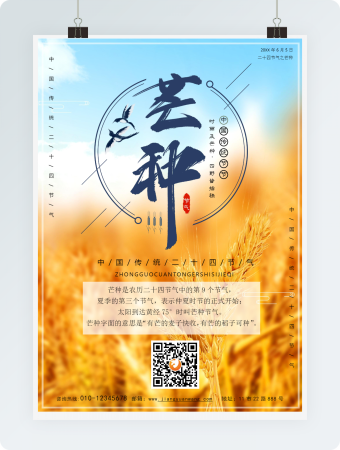 黄色竖版芒种节气小报Word模板