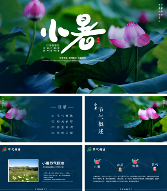 画册风二十四节气小暑PPT模版