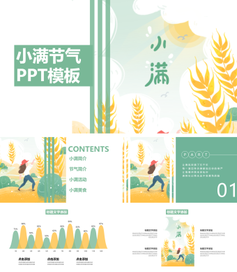 黄色卡通小满节气节日庆典PPT模板