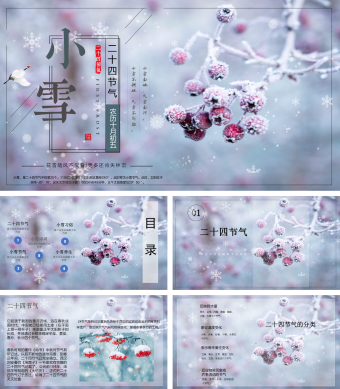 花雪随风二十四节气之小雪